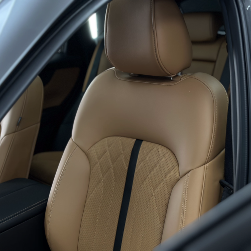 sharkey detailed light brown leather interior