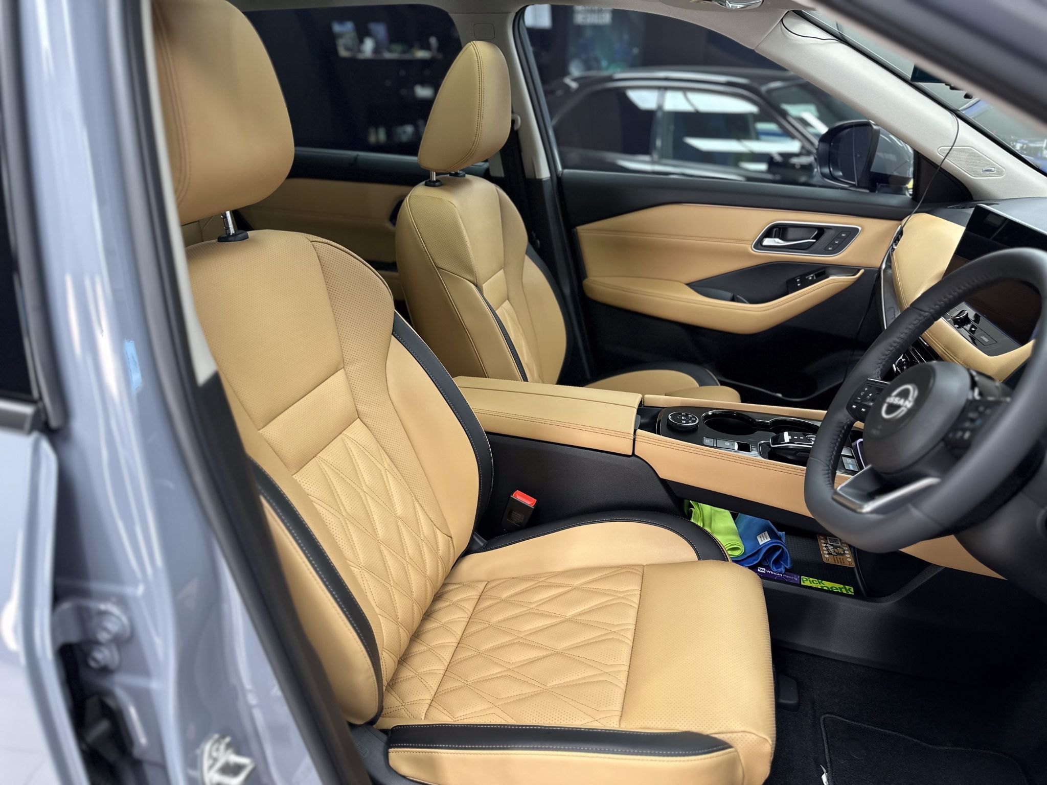 Leather Protection