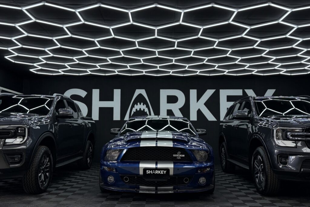 sharkey